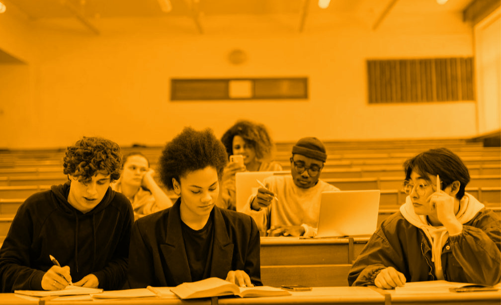Study Programmes