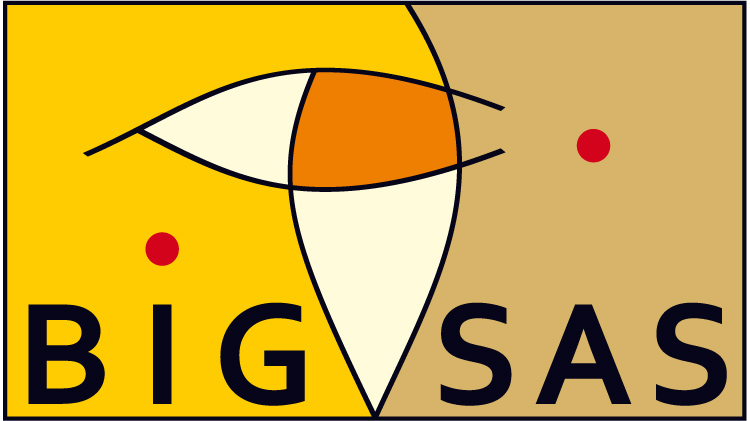 BIGSAS Logo